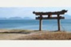 A year in Japan